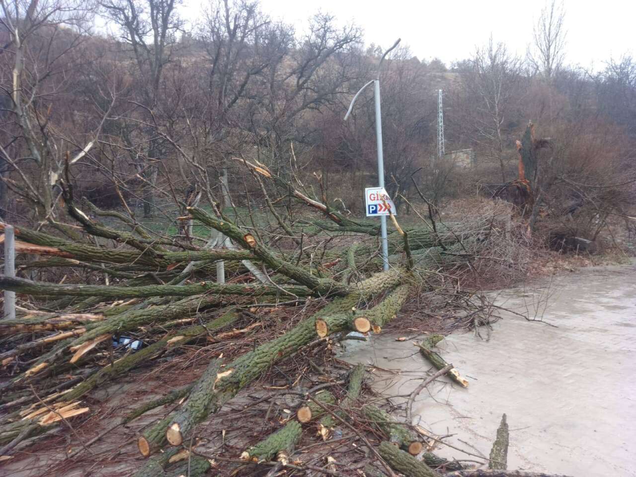 Konya’da 500 yıllık çınar ağacı rüzgara dayanamadı 9